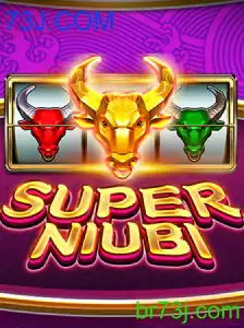 SuperNiubi